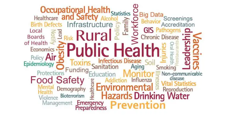 importance of public health essay