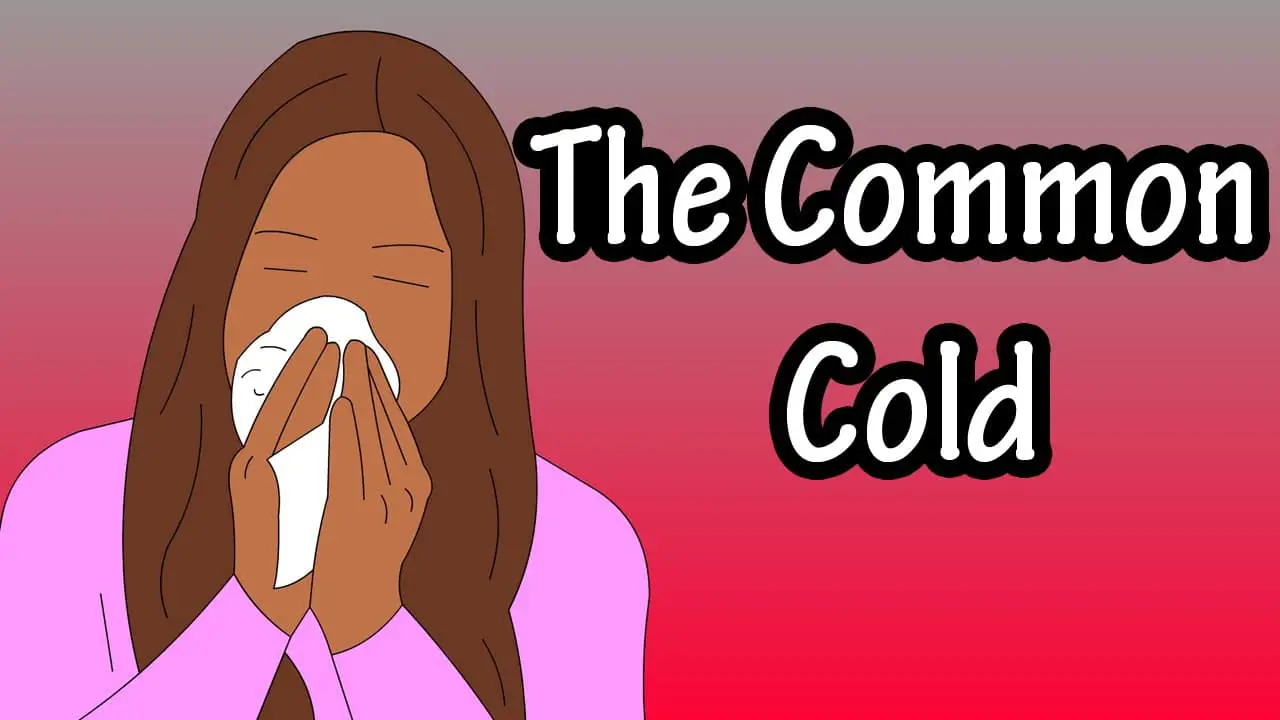 Common Cold Causes Symptoms And Treatment